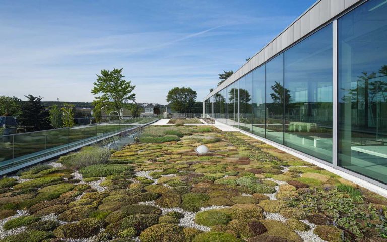 Découvrez le Musée Écologique Révolutionnaire de Bjarke Ingels Group : Toit Vert Accessible et Design Durable à Couper le Souffle
