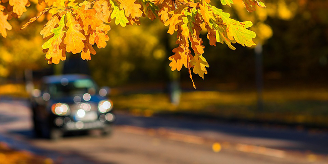 découvrez notre service d'assurance auto adaptée, conçu pour répondre à vos besoins spécifiques en matière de couverture automobile. profitez de tarifs compétitifs, d'options flexibles et d'un accompagnement personnalisé pour une protection optimale sur la route.